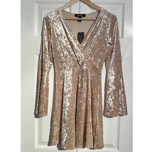 NWT Streetwear Society Crushed Velvet nude dress